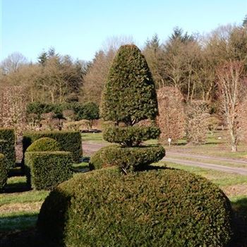 TBA_Villandry-Form_7xv_225-250_O-317_24_02_16_wr_42051.JPG