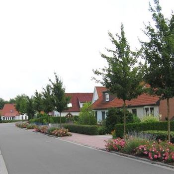 ACEL_H_18-20_Landschaft_Ochholt-Westring_J_He_3_07_07_05_3642.jpg